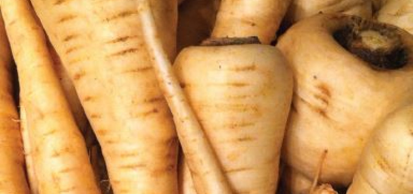 Parsnips Roasted Root Vegetables