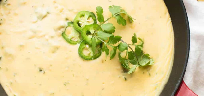 fire roasted poblano queso dip