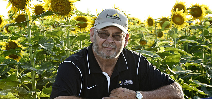 sunflower farmer