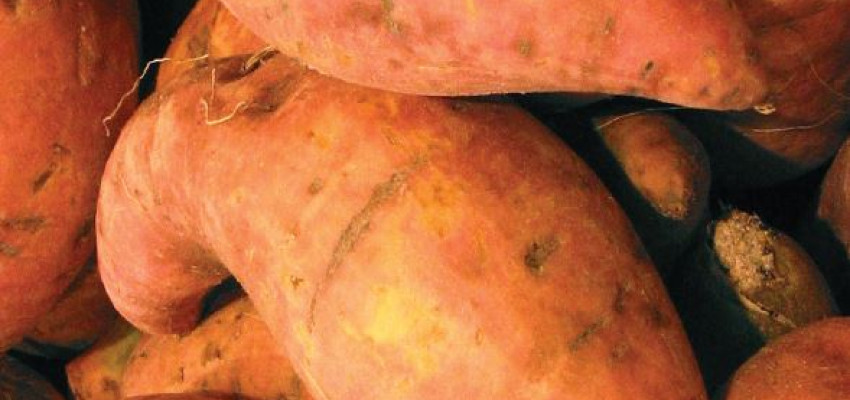 Chipotle Sweet Potato