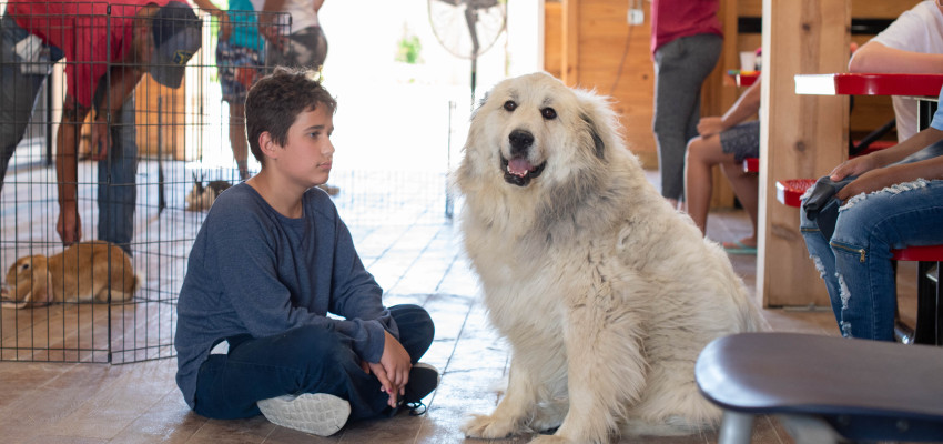 Boy with Dog