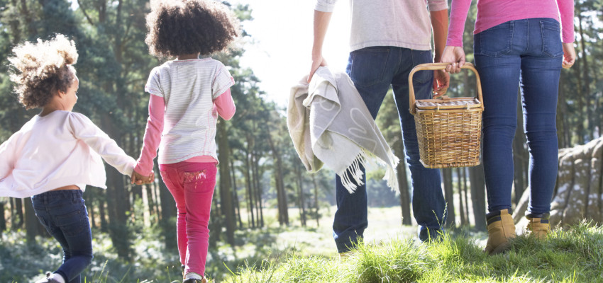 family on a picnic