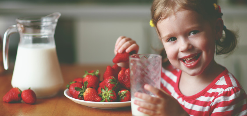 young girl eating strawberries and drinking milk