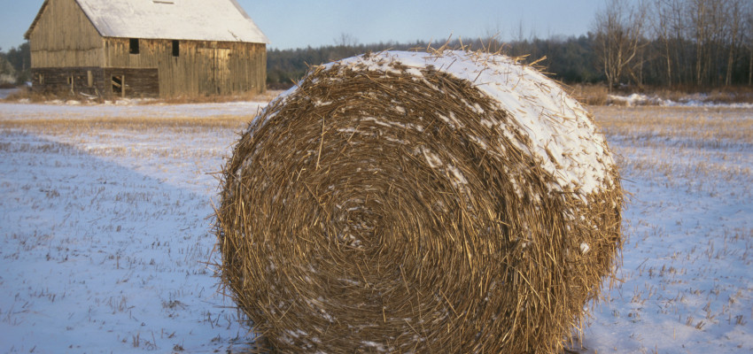 barn and bale in the snow