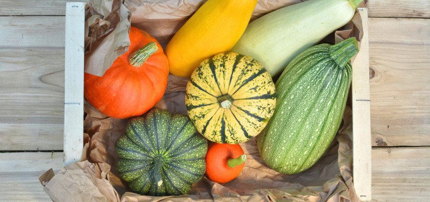 basket of winter squash