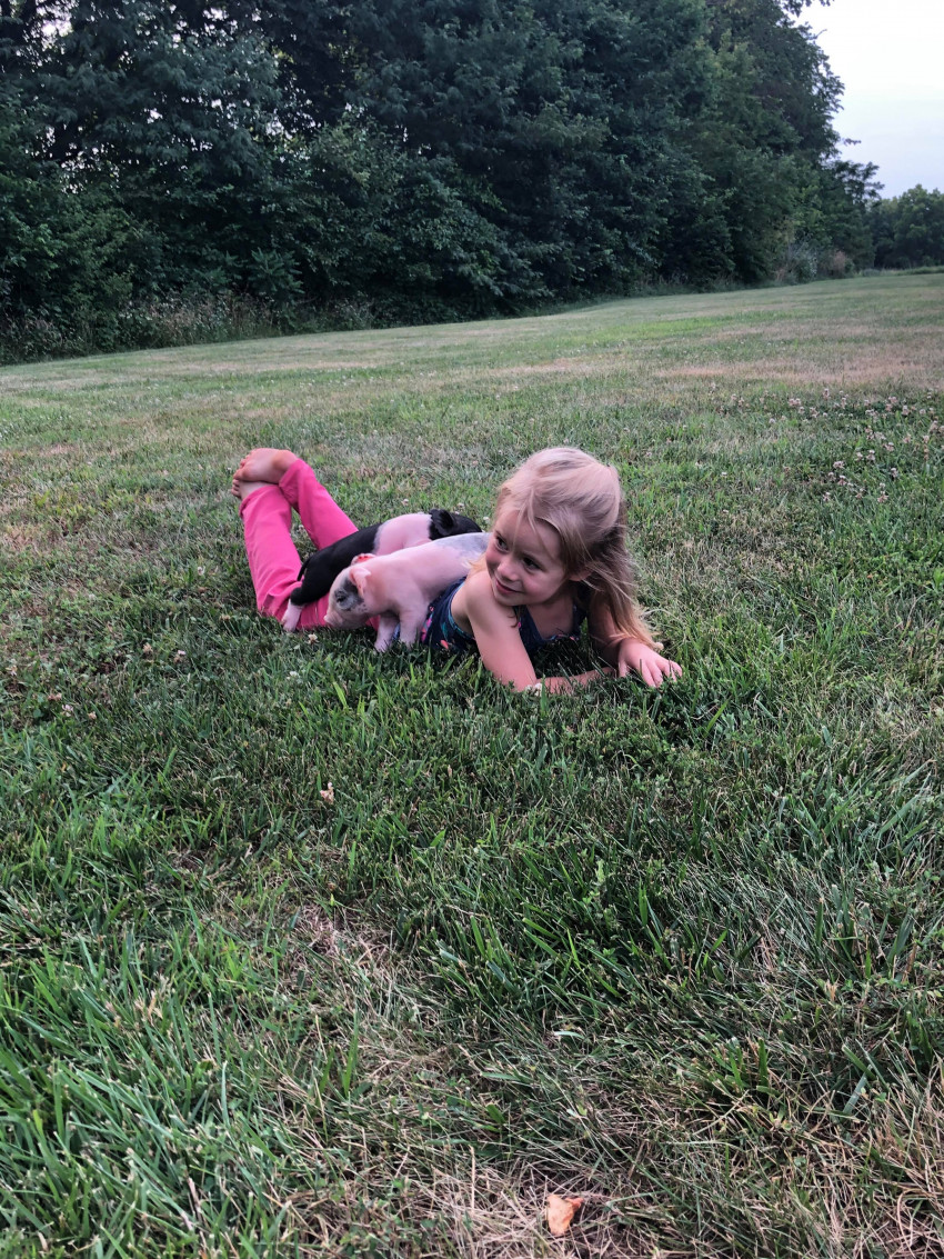 Castle girl with pigs