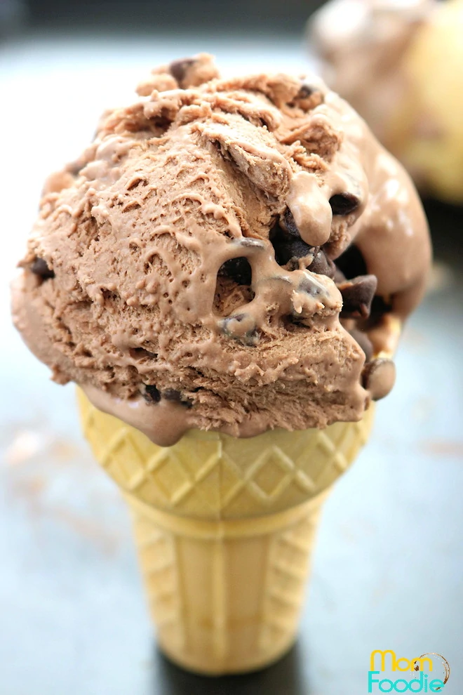 Chocolate Ice Cream with Chocolate Chips
