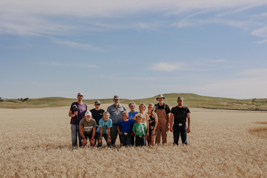 larosh wheat harvest family in field