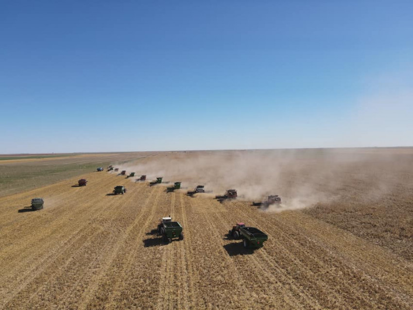 vogt harvest drone photo