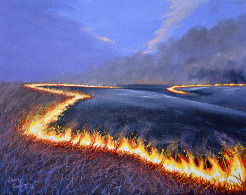 louis copt prescribed burn controlled burn painting