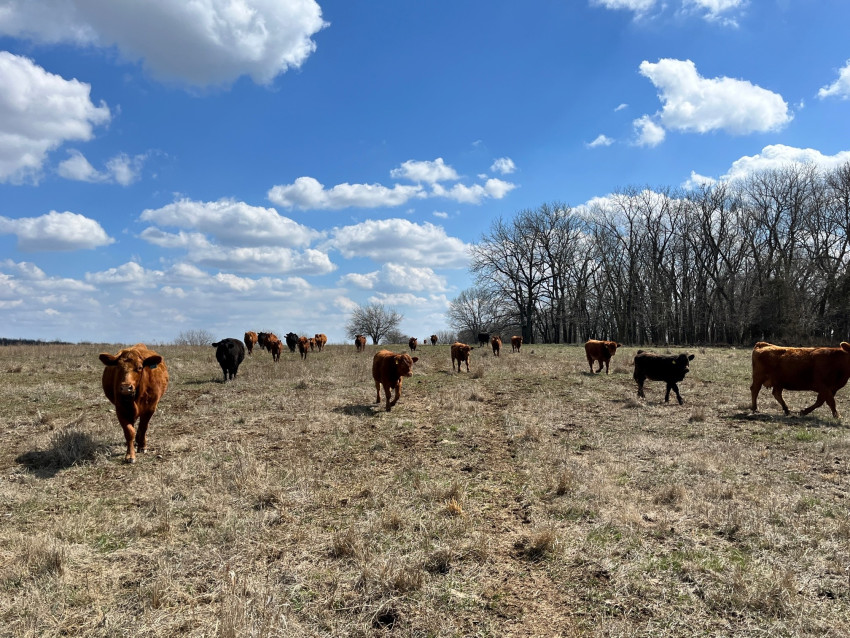 How Ranchers Observe Earth Day | Kansas Living Magazine