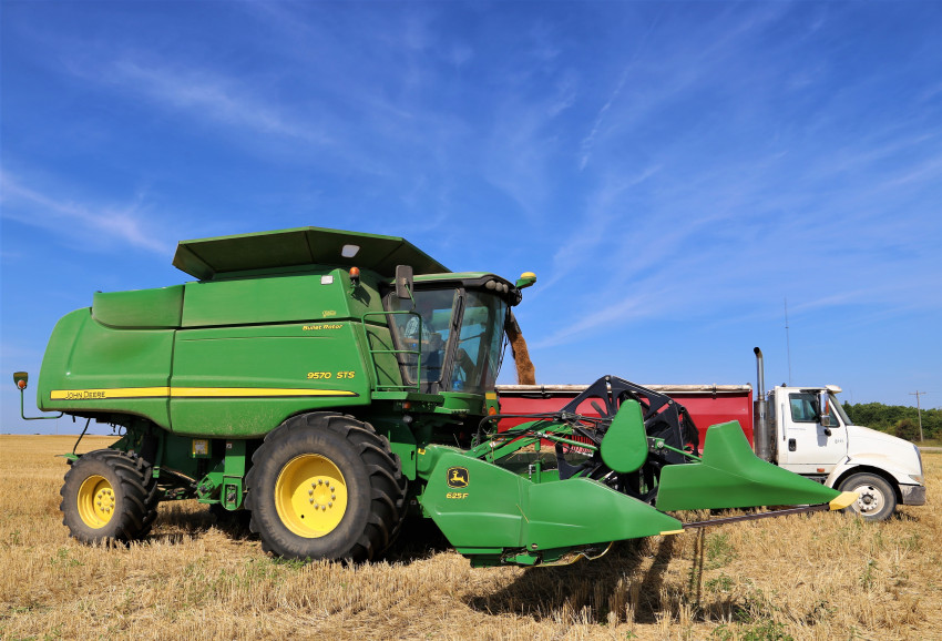 Austin Moore_Harvesting wheat