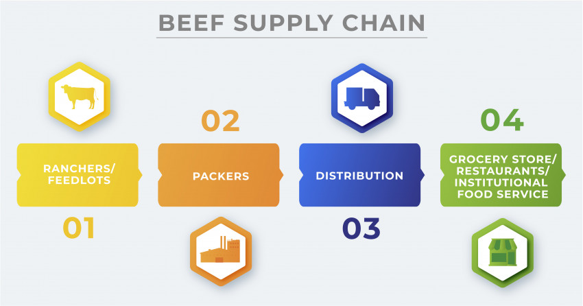 From slaughter to supermarket: How supply-chains inform beef prices