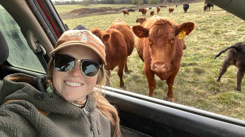 Beef cattle, cattle ranching, farming and ranching