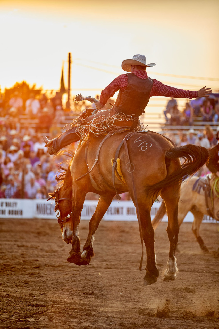 bronc-riding.jpg