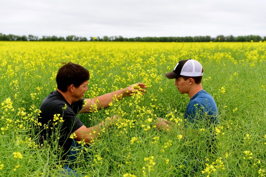 farmer and son in canola field