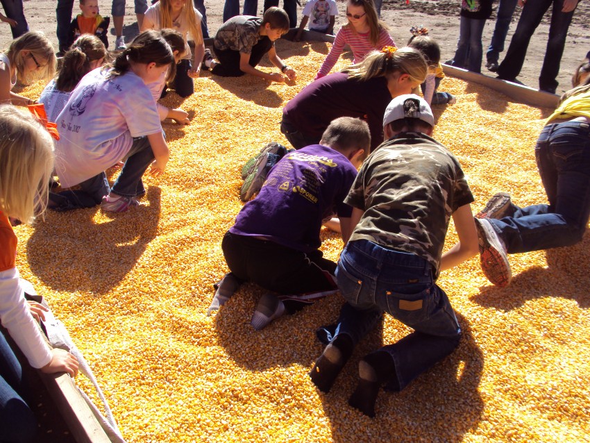 Kids hunt coins at the Oakley Corn Festival.