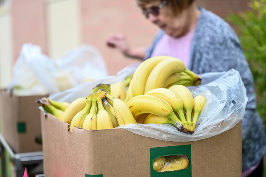 Norton County End Hunger_fresh bananas