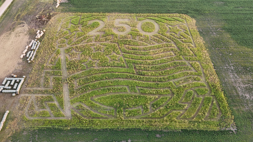 Klausmeyer corn maze