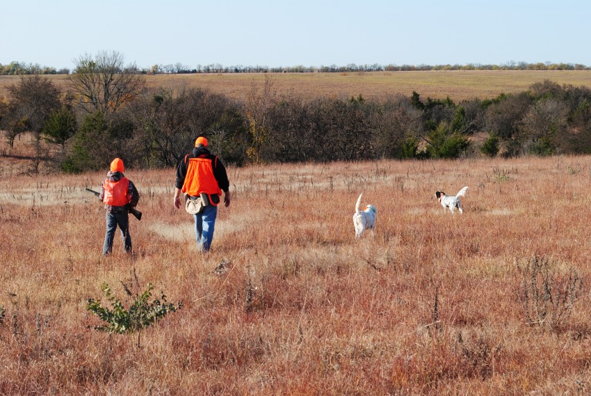 Hunters with their dogs during a hunt at Bigge Farm.