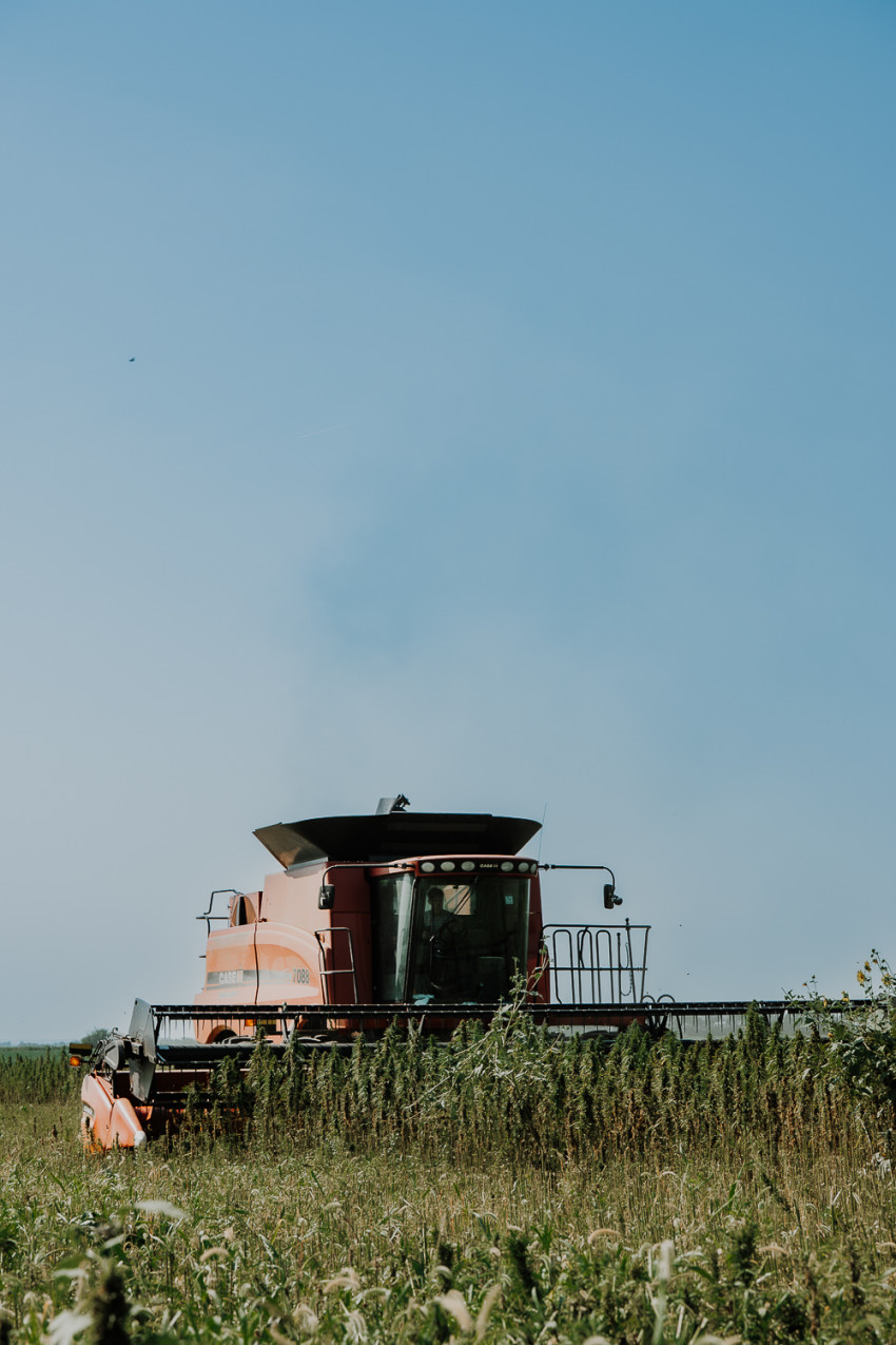 hemp harvest 26_combine