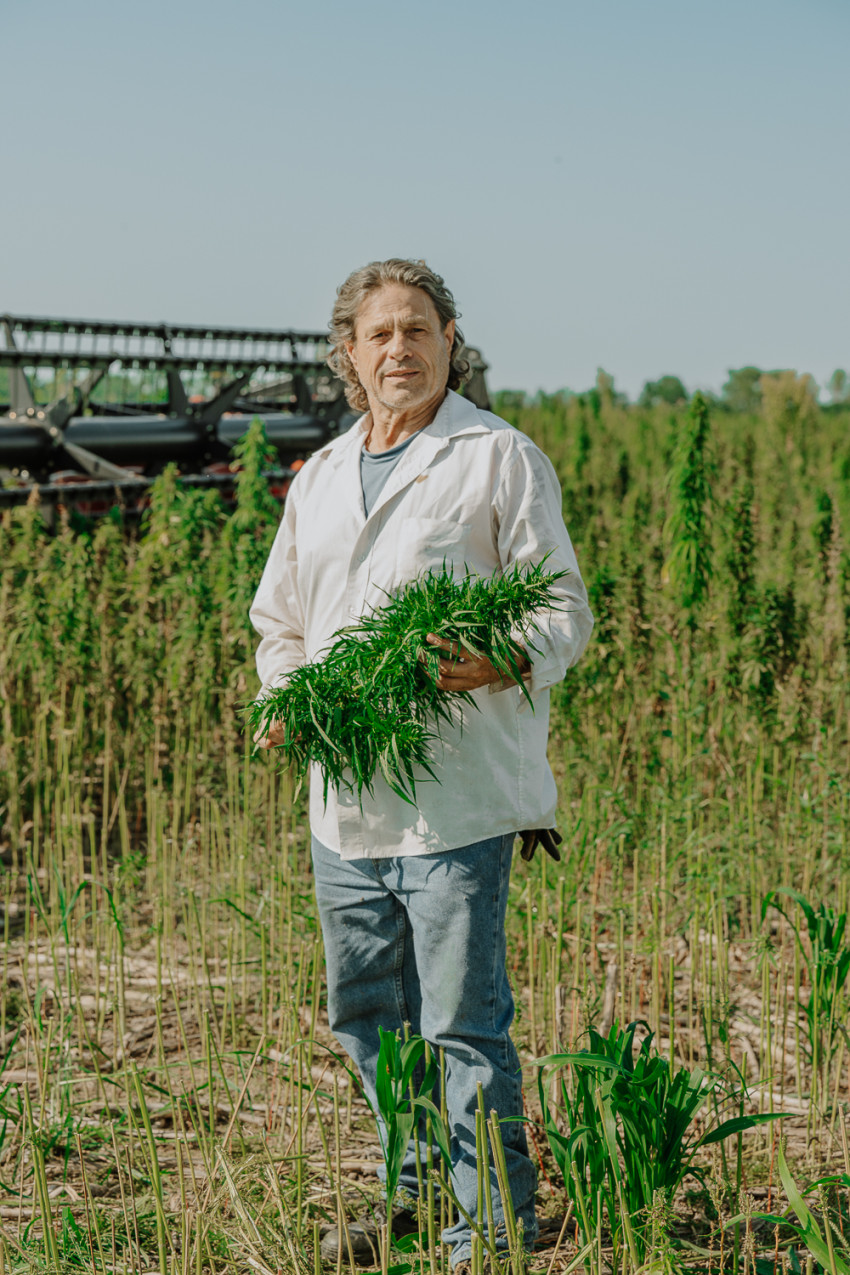 hemp harvest 26_mckee