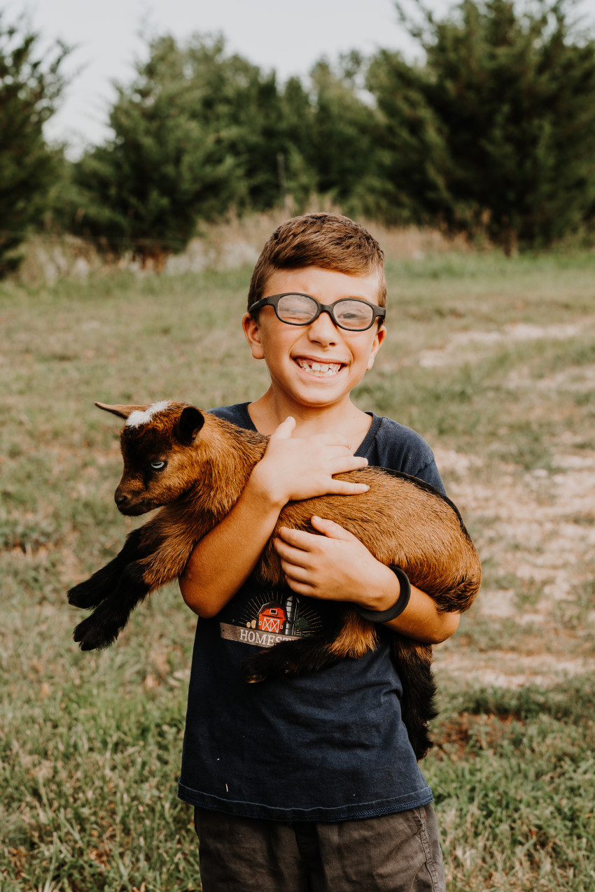 saltlight_goat