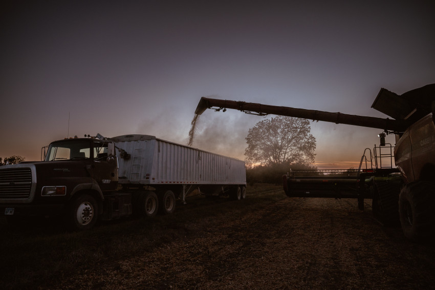 soybeans_sheridan wimmer