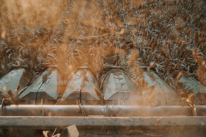 local farming and ranching in Kansas
