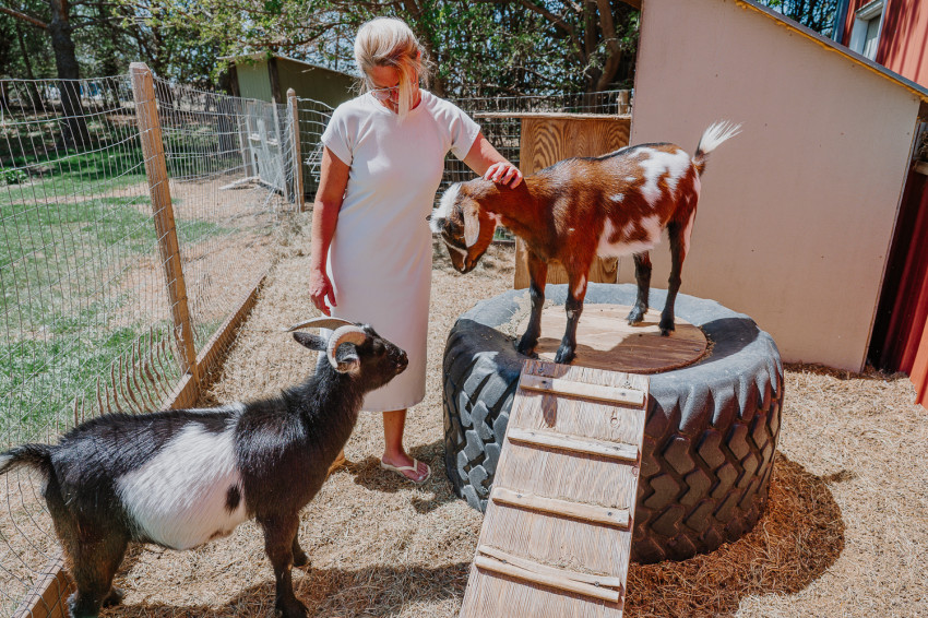 country girl flowers_goats