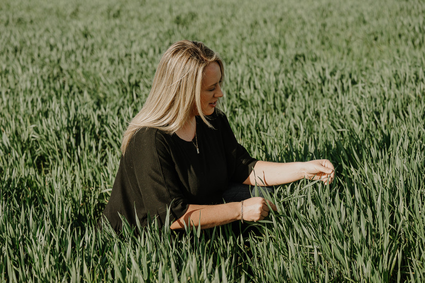 lindy mcmillen_wheat