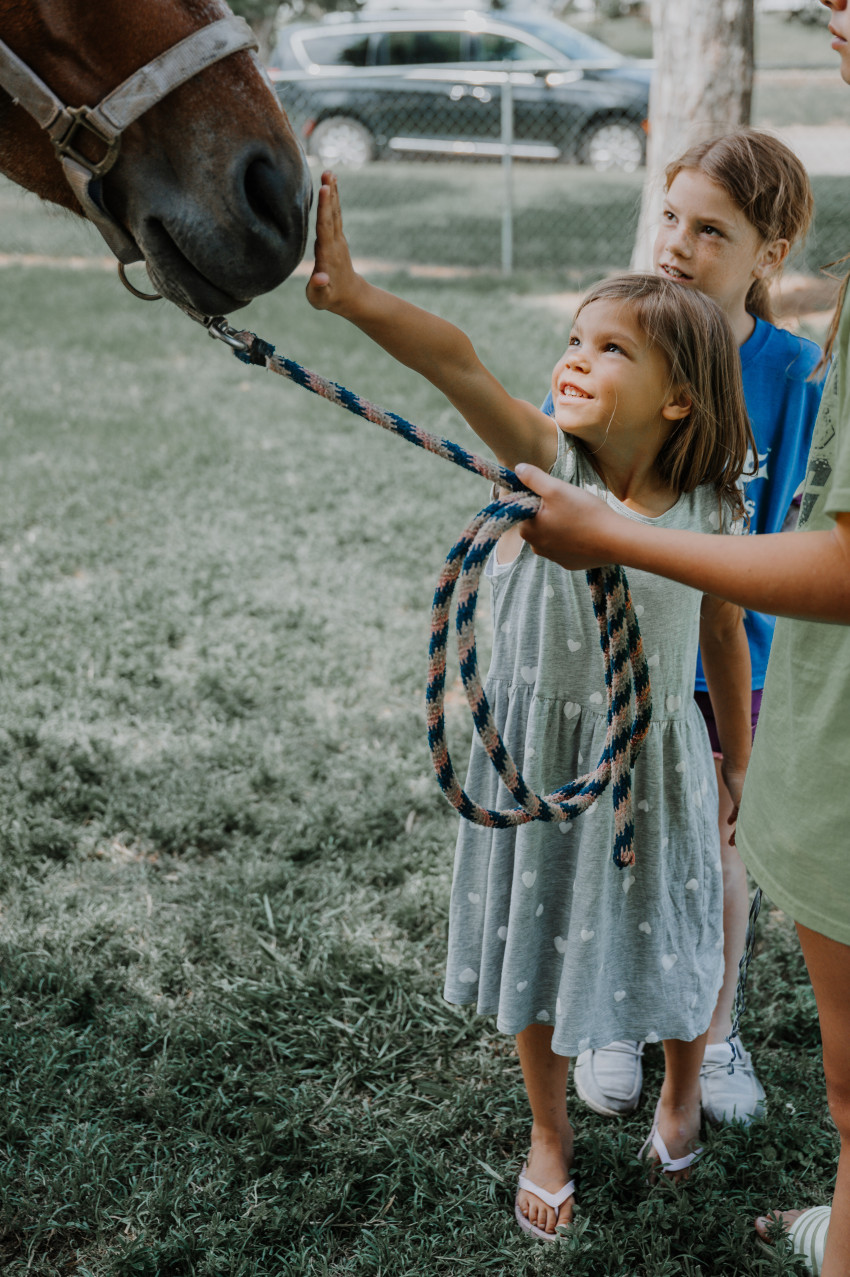 mitchell county farm bureau_summer kids cafe_horse