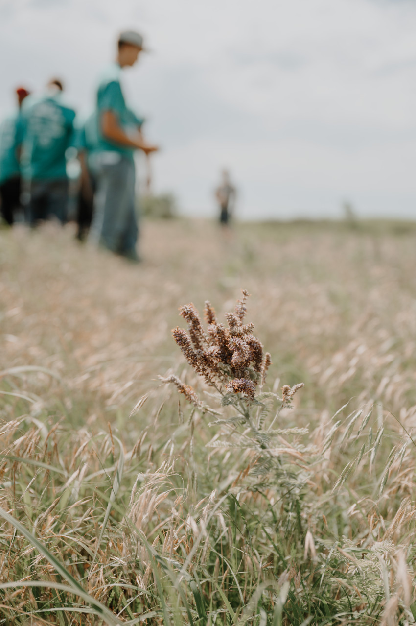 kansas range youth camp_prairie