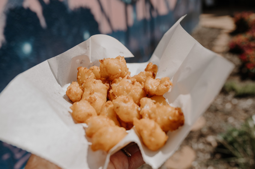 state fair_cheese curds