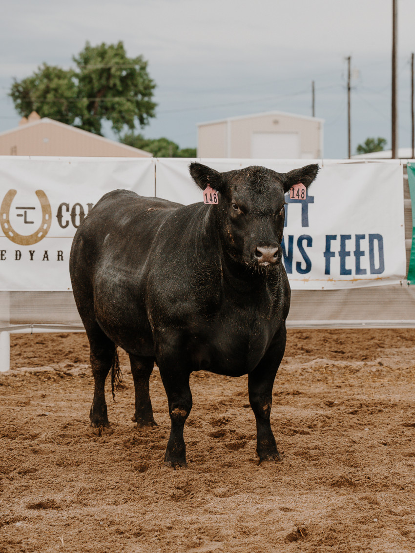 Beef Empire Days_148