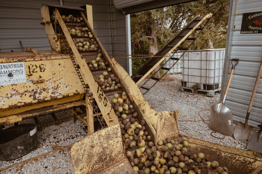 walnut hulling machine 