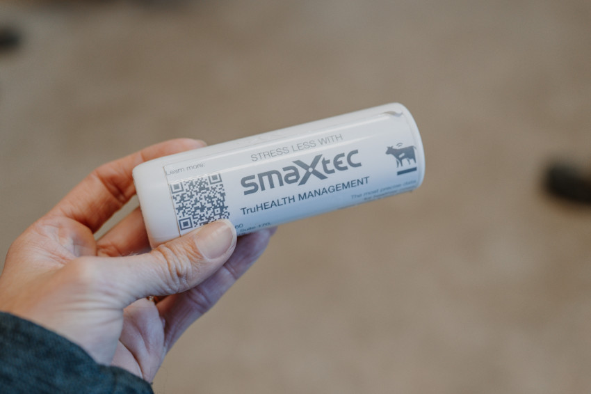 A white bolus pill that is given to dairy cattle to monitor health stats