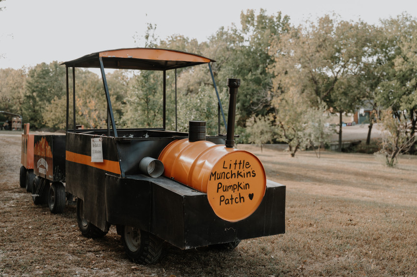 little munchkins pumpkin patch train