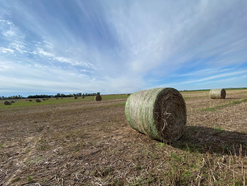 Fiber Round Bales