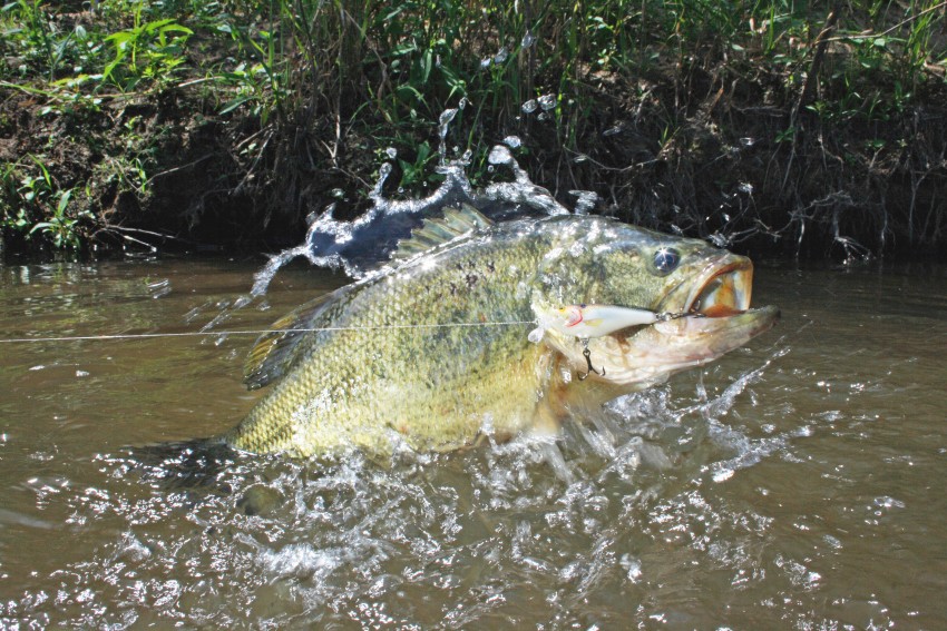 Fishing in Kansas