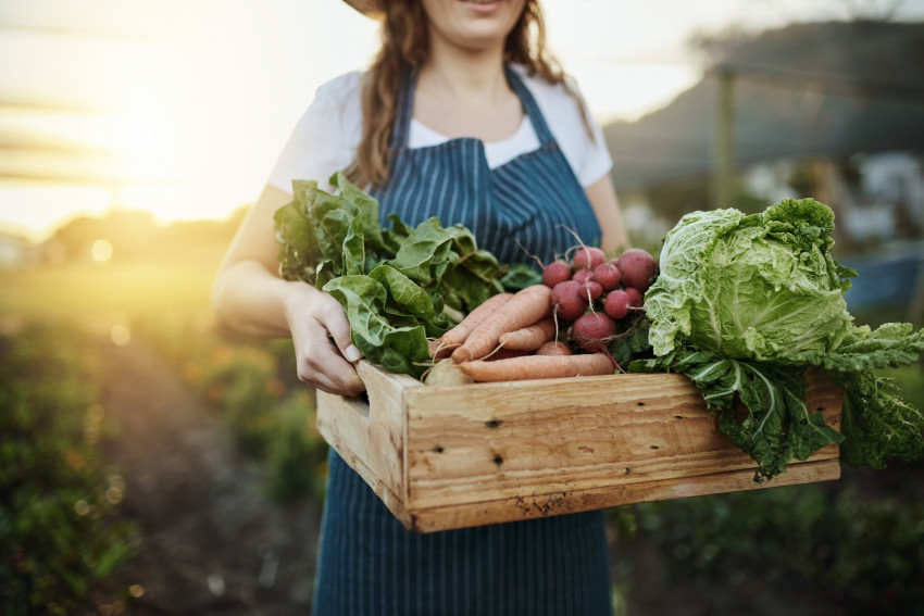 Buy in season produce