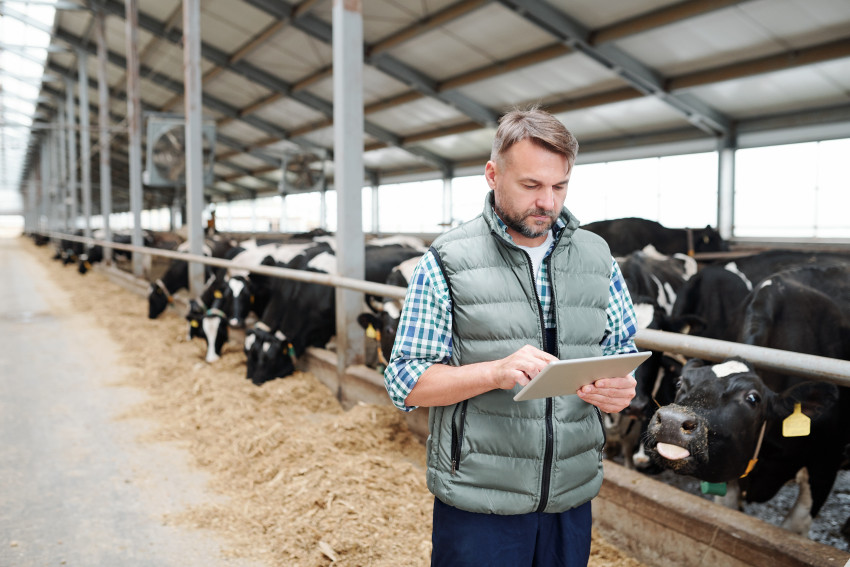 Dairy Farming with an ipad