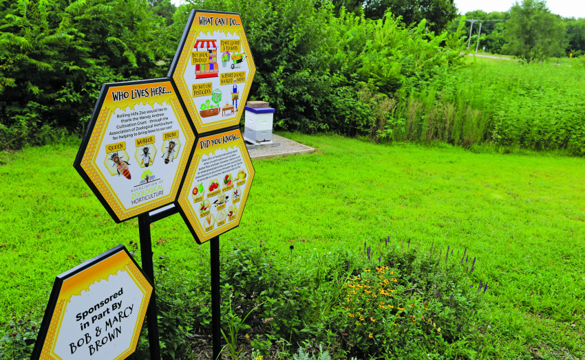 Bee Signage