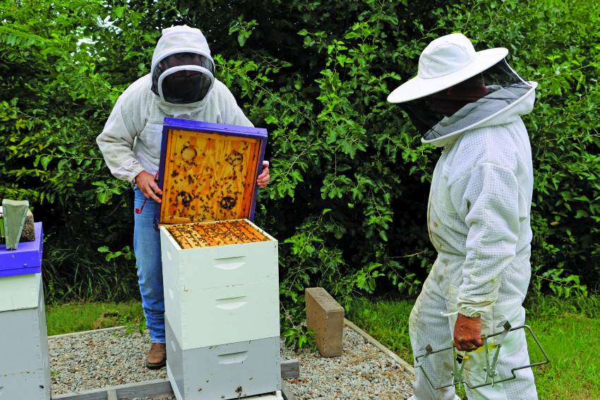 Men with Bees