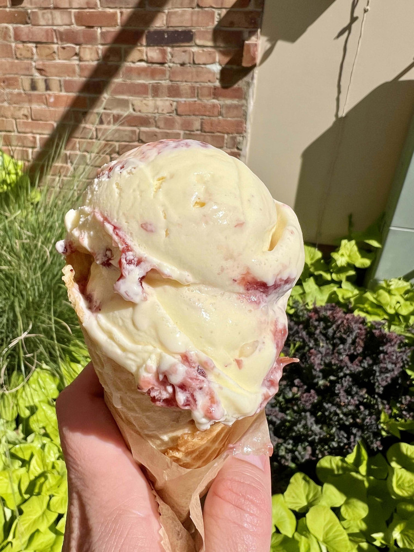 indigomoodicecream_vanessa
