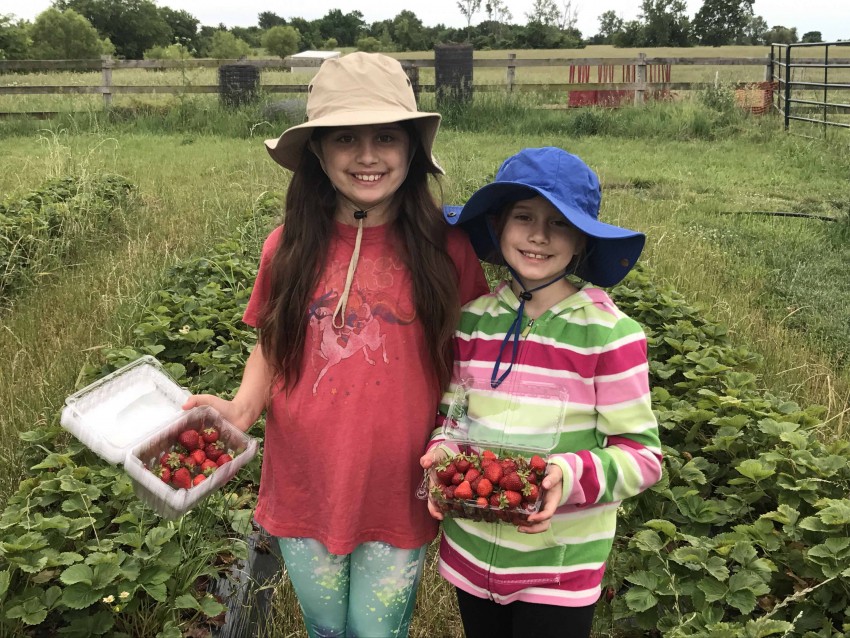 Harvest