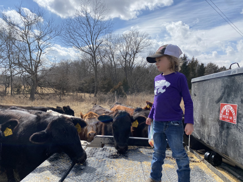 girl with cattle