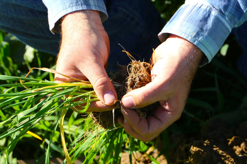 Jay Young regenerative ag