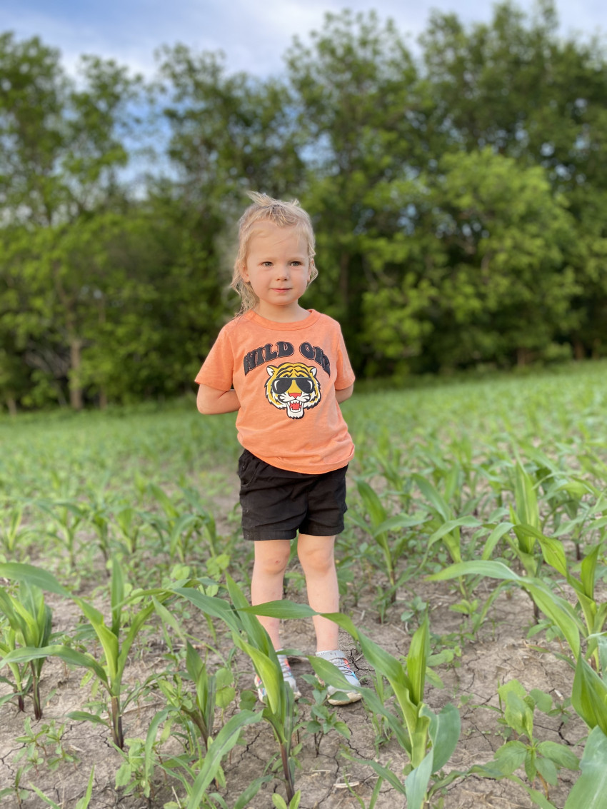 Oakley in corn field