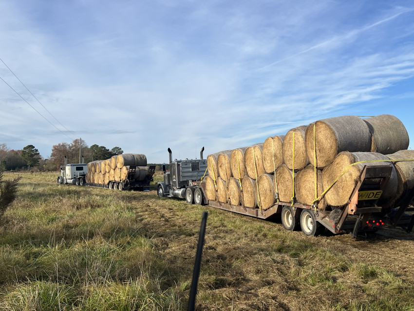 rileyco_hay donation to hurricane